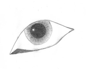 Simple eye by Drogouls