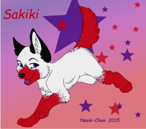 Meet Sakiki! by Sakiki