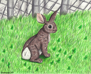 A Rabbit Named Spliff by Koudoawaia
