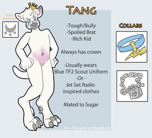 New Tang Reference by Tangy