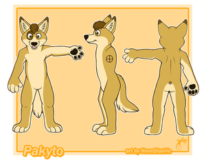 My Character Sheet ! by Pakyto