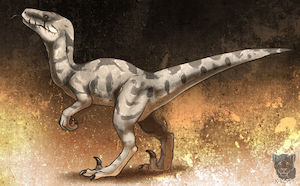 Raptor- Grey Corn Morph by XKid