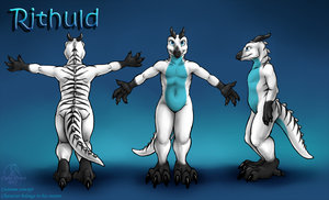 Rithuld Suit Ref by CurioDraco