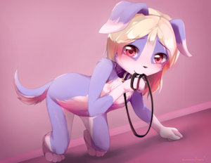 Here is your leash by surgical