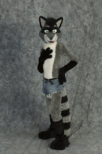 Coon suit by MaxRaccoon