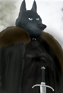 The King of the North (Game of Thrones) by hazdak