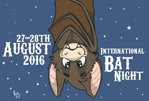 International bat night by pandapaco