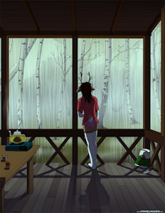 Cabin in the Rain by Immelmann