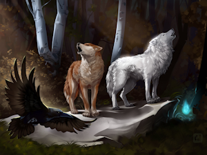 Wolf and Raven by DragonFU