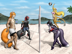 Beach Volleyball by TheHil
