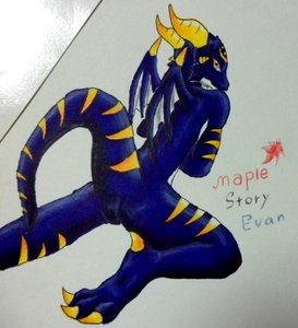maplestory evan onyx dragon(were dragonver) by tmdduq6918