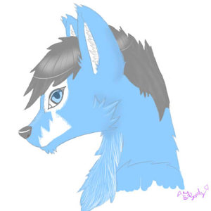 $2 head Shot commission by misfitsephy