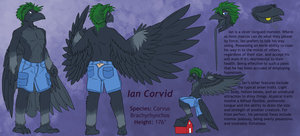 Ian Corvid by AlexanderTriumph