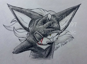 The Enemy by SuetonicSonic