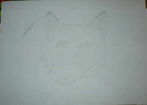 First fox - First drawing by tilla13