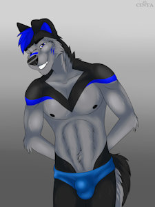The Speedo (by Cinta) by AshiWolf