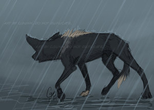 Rainy Mood by LostWolfSpirit