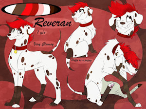 Reveran Ref Sheet by CobaltDawg