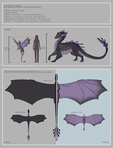 Endsong Character Reference by Drakkonim