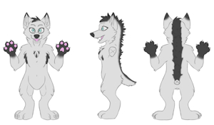 SFW Zwei Ref by awolfwithattitude