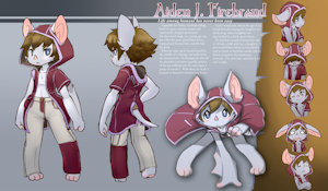 Aiden Character Sheet by BattyBatFirebrand