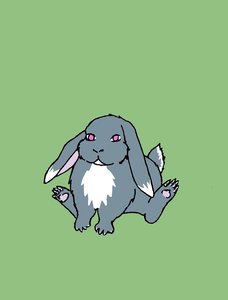 Grey Bunny by Bun