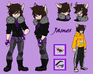 James reference sheet by petiue