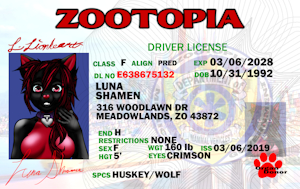 Zootopia Drivers License by LunaWuna69