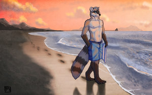 Beach Bandit by tsaiwolf