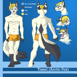 Tissel Reference Sheet by KazeWolf