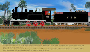 C.F.B. Passenger Train by moyomongoose