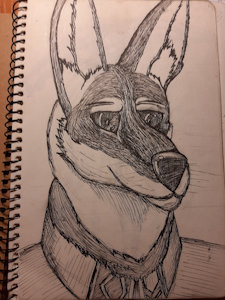 Comission: Jacky the ethiopian jackal by Soulfear