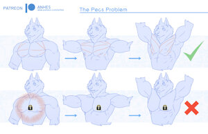 Pecs problem by Anhes