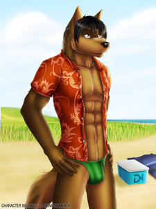 Beach Day - Commission For SonicHomeboy by DreamAndNightmare