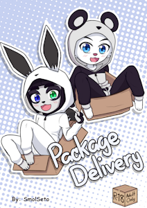 Package Delivery - Cover by SmolSeto