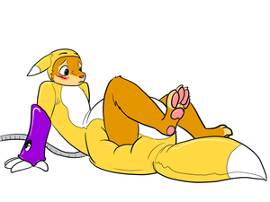 Cadpig's Renamon Suit by Immelmann