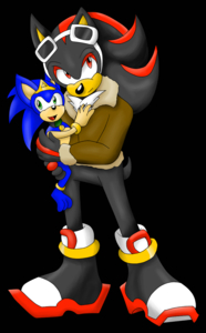 Sonic Kingdom - Captain Shadow and Prince Sonic by sonicremix