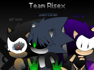 Introducing #6: Team Ridex (Sentinel, Mora and Brock) by RedTheHedgehog512