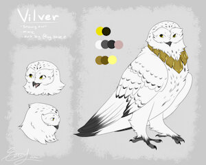 Vilver ref sheet by Hooter