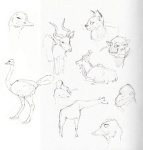 zoo sketches by anthrolotl