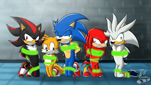 Sonic Boys Captured by JDEringtail