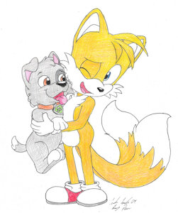 Tails and Rocky by SilverSimba01