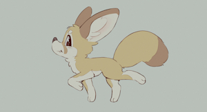 Fennec by skidoo