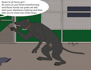 New kennel dog by Mearcu