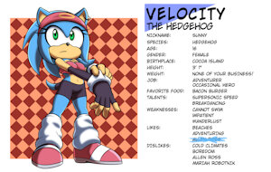 Profile: Velocity the Hedgehog by Hyoumaru