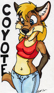 Coyote Card by bdever