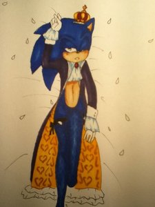 King Sonic by SeKkAi