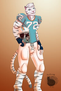 1972 Undefeated Dolphins Player by Furnatic92