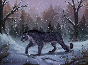 Winter Prowler by Cheetahs