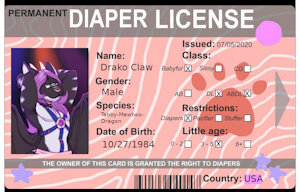 Diaper License by jmac32here